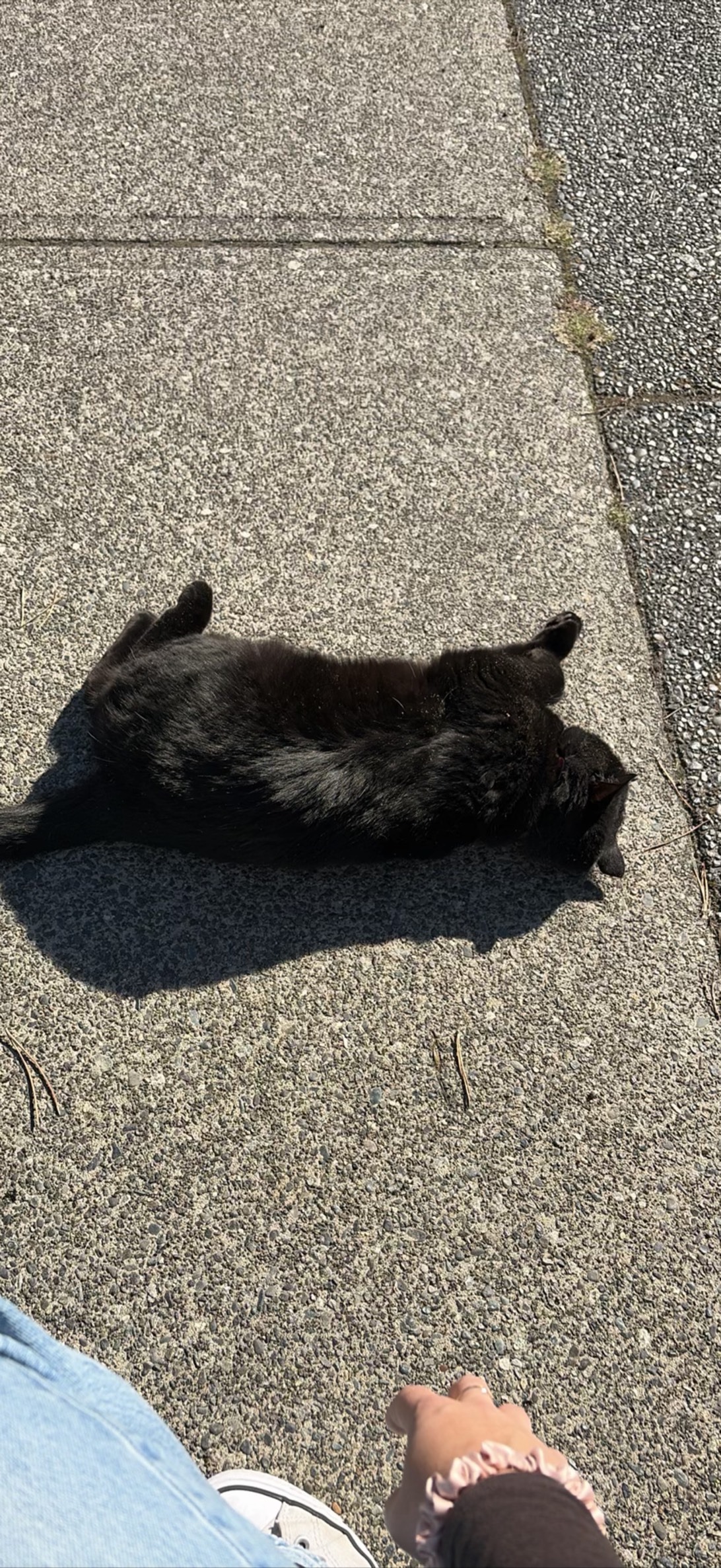 Lucy, Campbell River