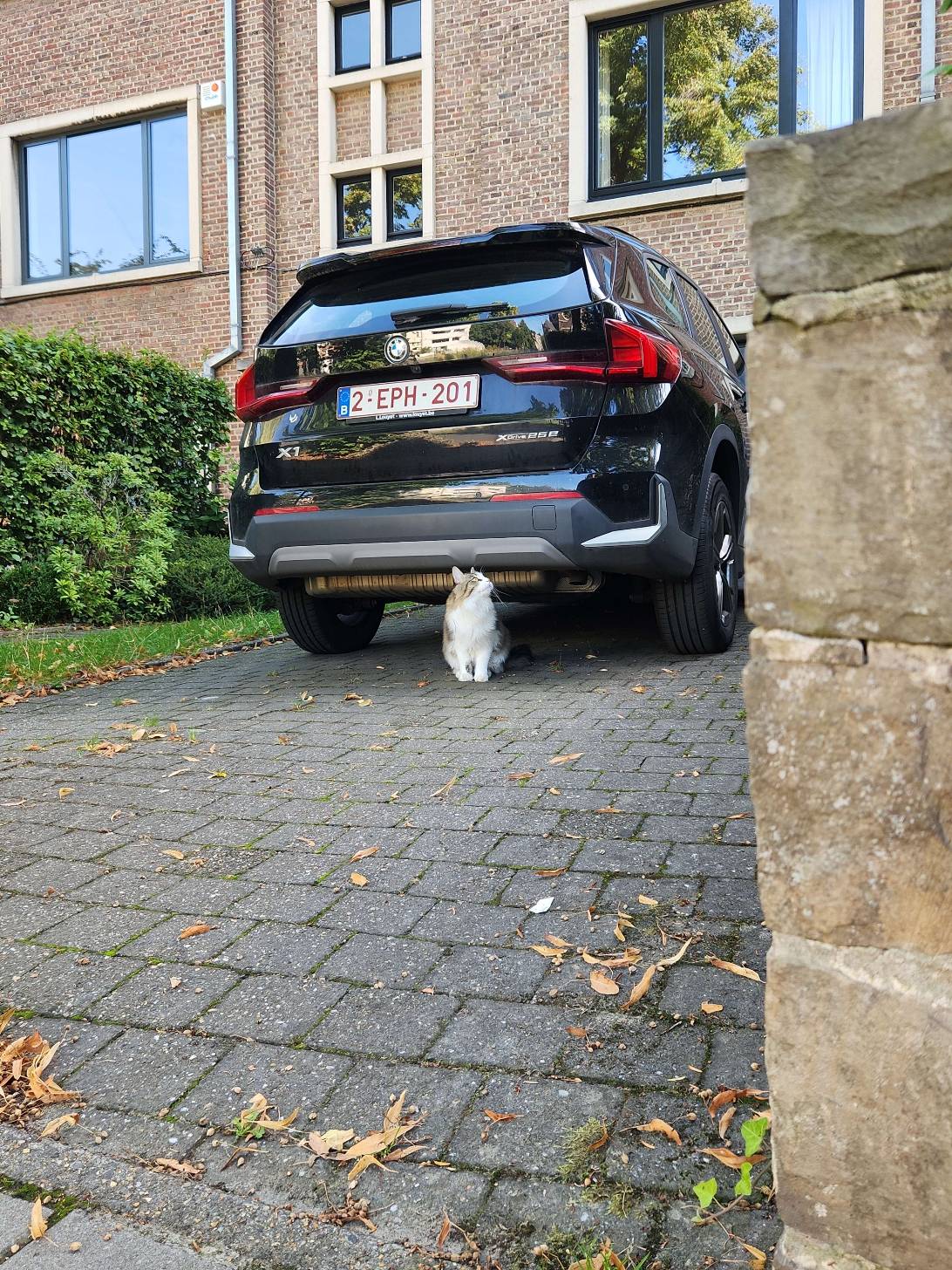 Inspector, Brussels