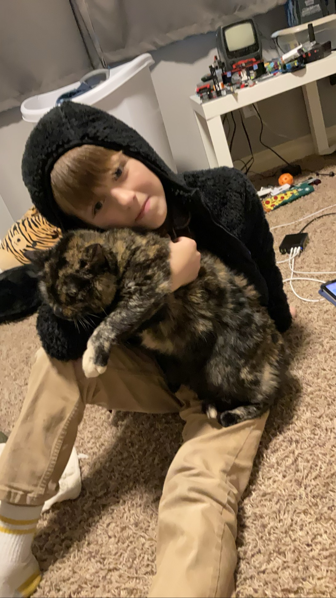 Bee, a cat found on Chonk Finder