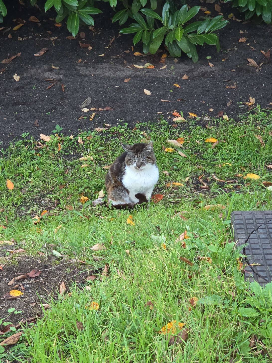 Loafly, Zwolle