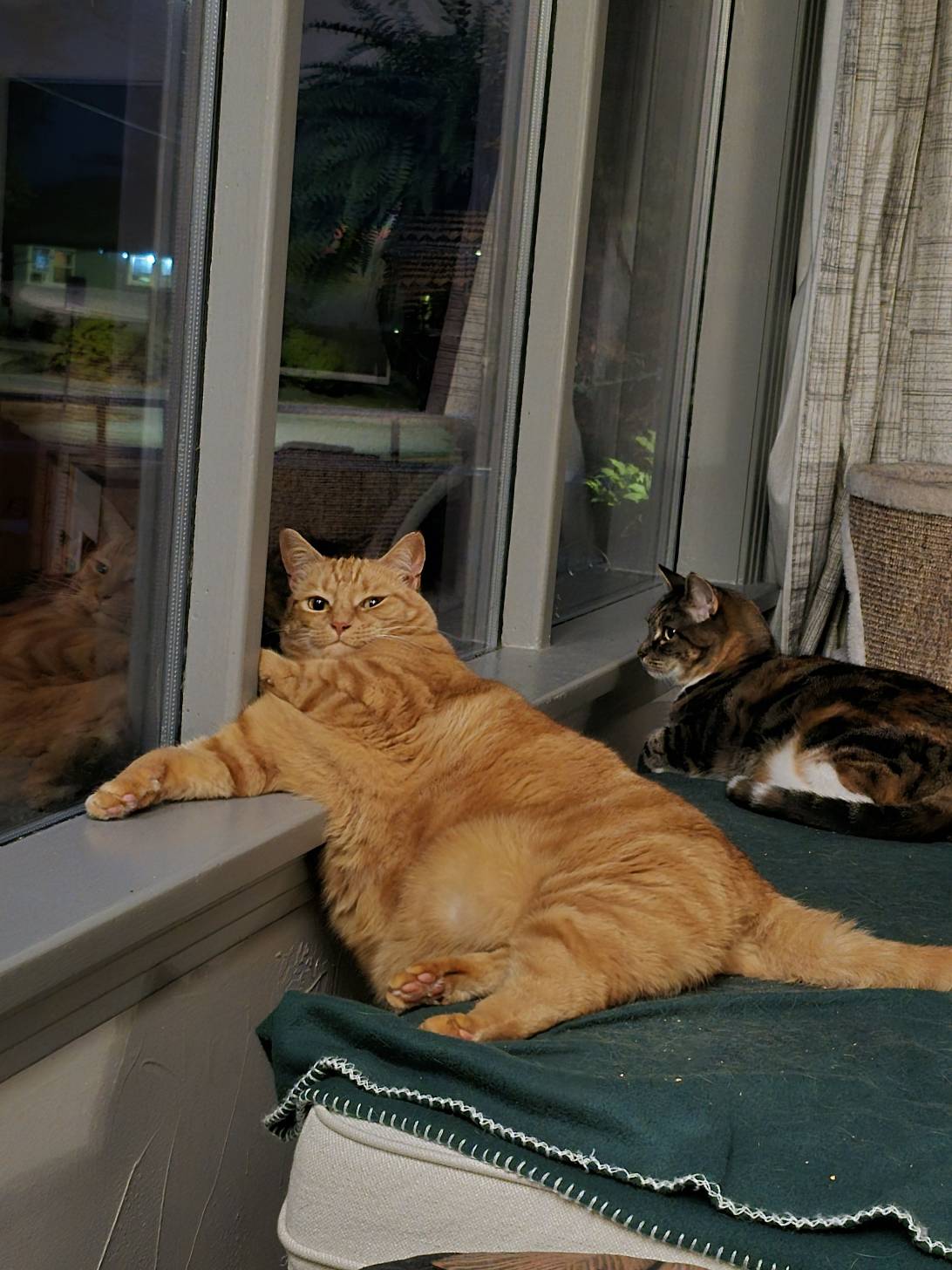 Ramona, Nanaimo