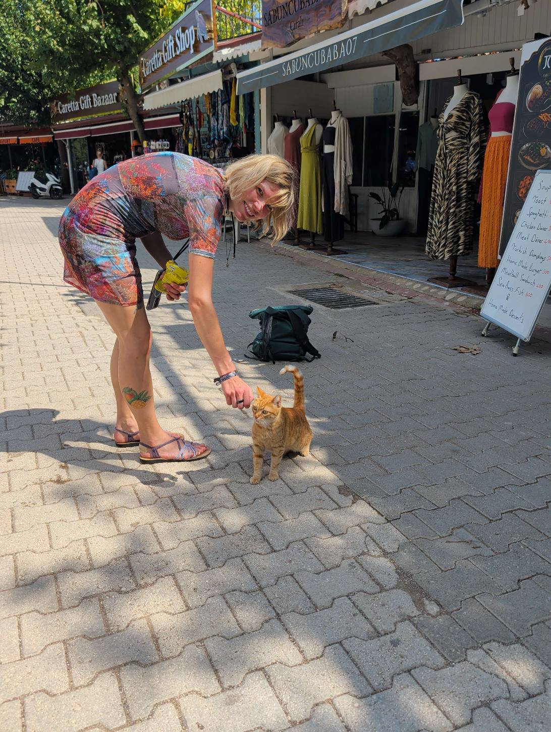 Bazaar, a cat found on Chonk Finder