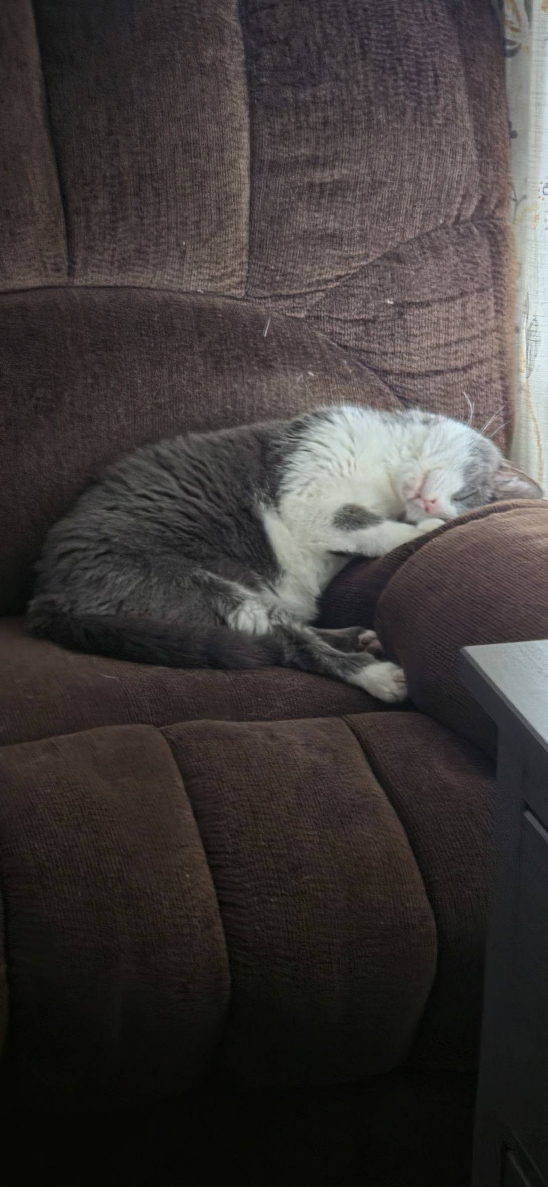Lou, Pontiac