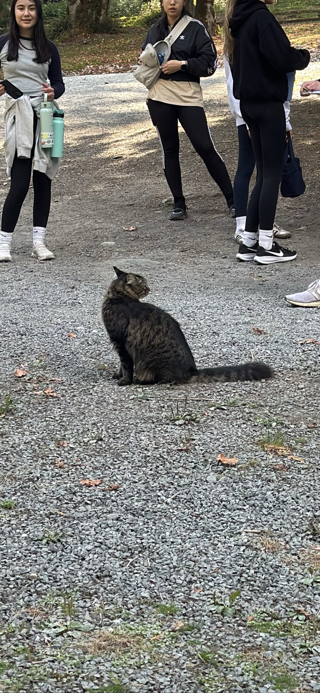 Kamp kitty, Chilliwack