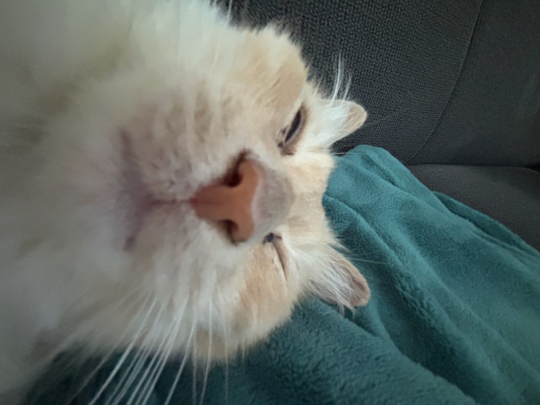 Meneer, Doetinchem