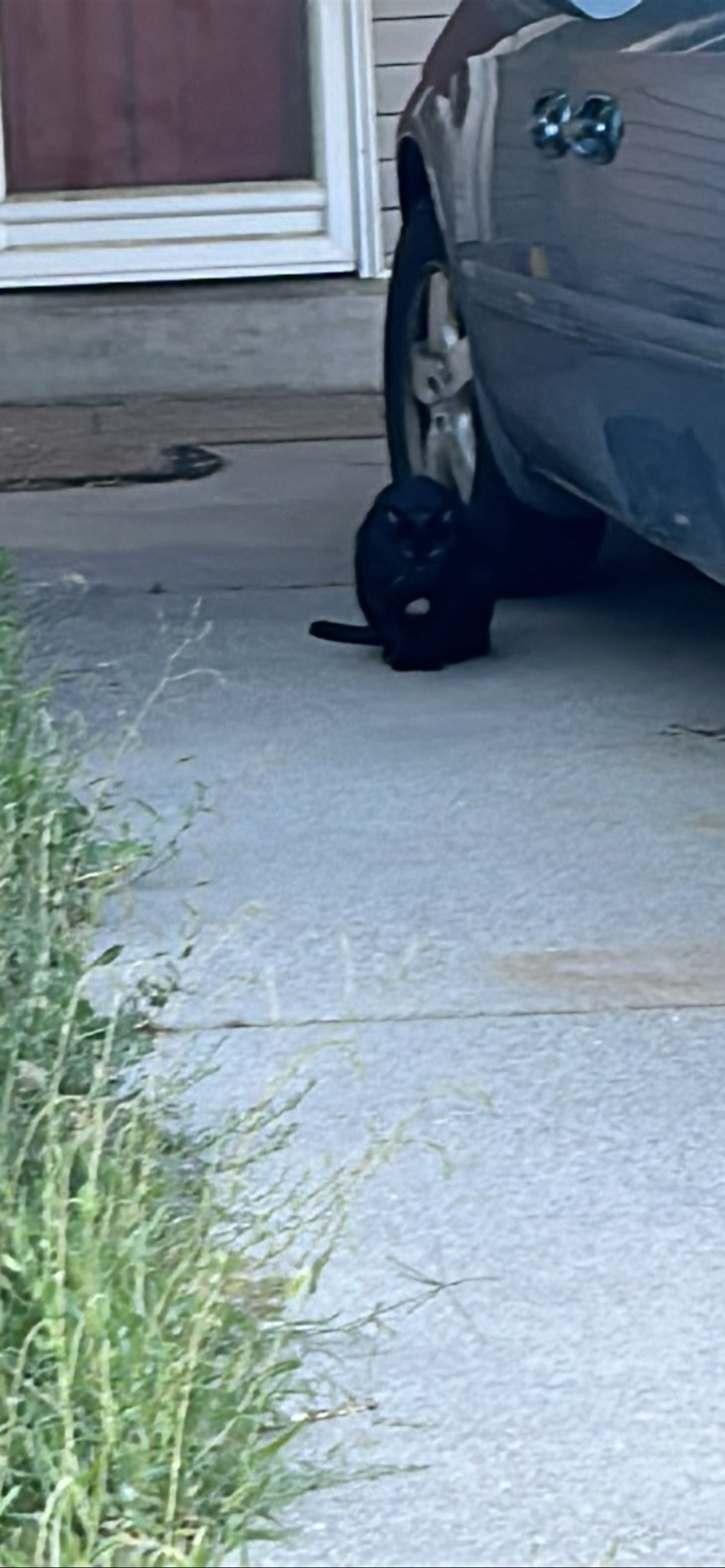 Axle, Sandy Hills