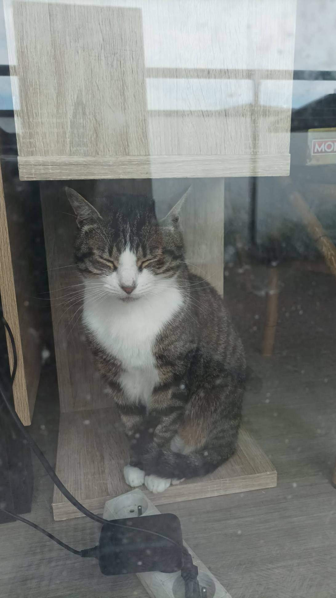 Rengar  the prophet, a cat found on Chonk Finder