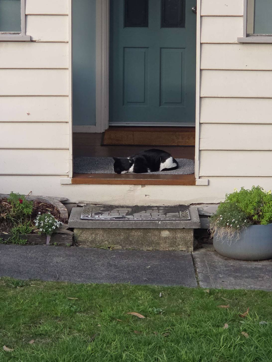 Doorstop, Melbourne