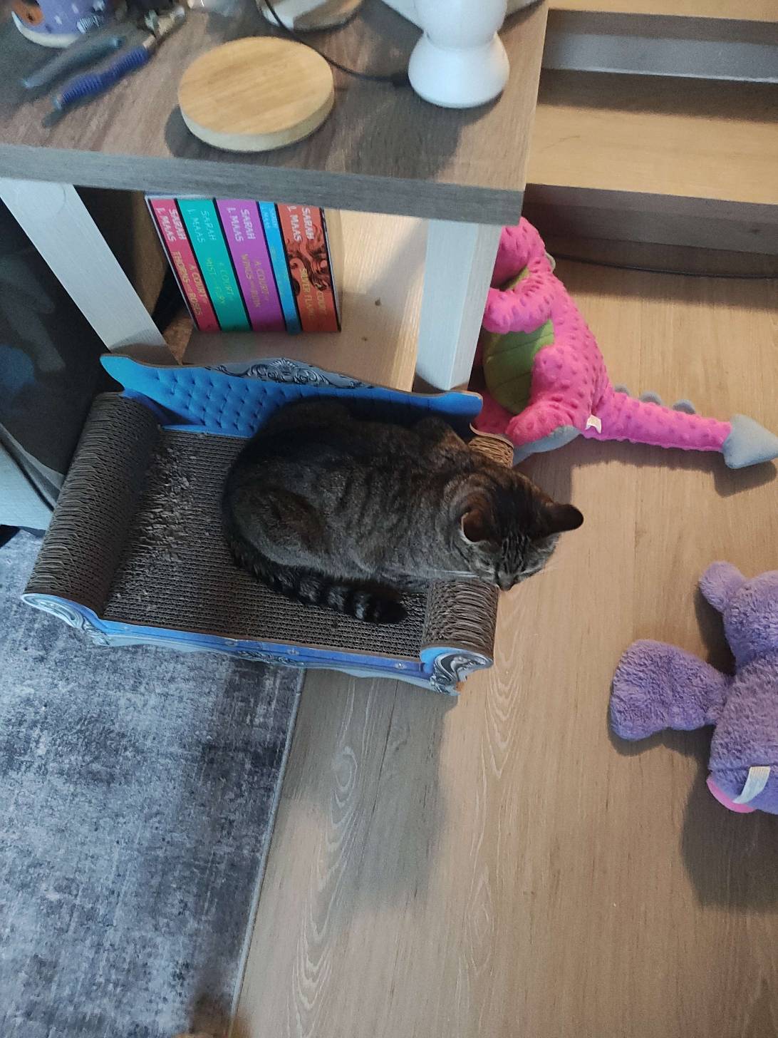 Lillith, a cat found on Chonk Finder
