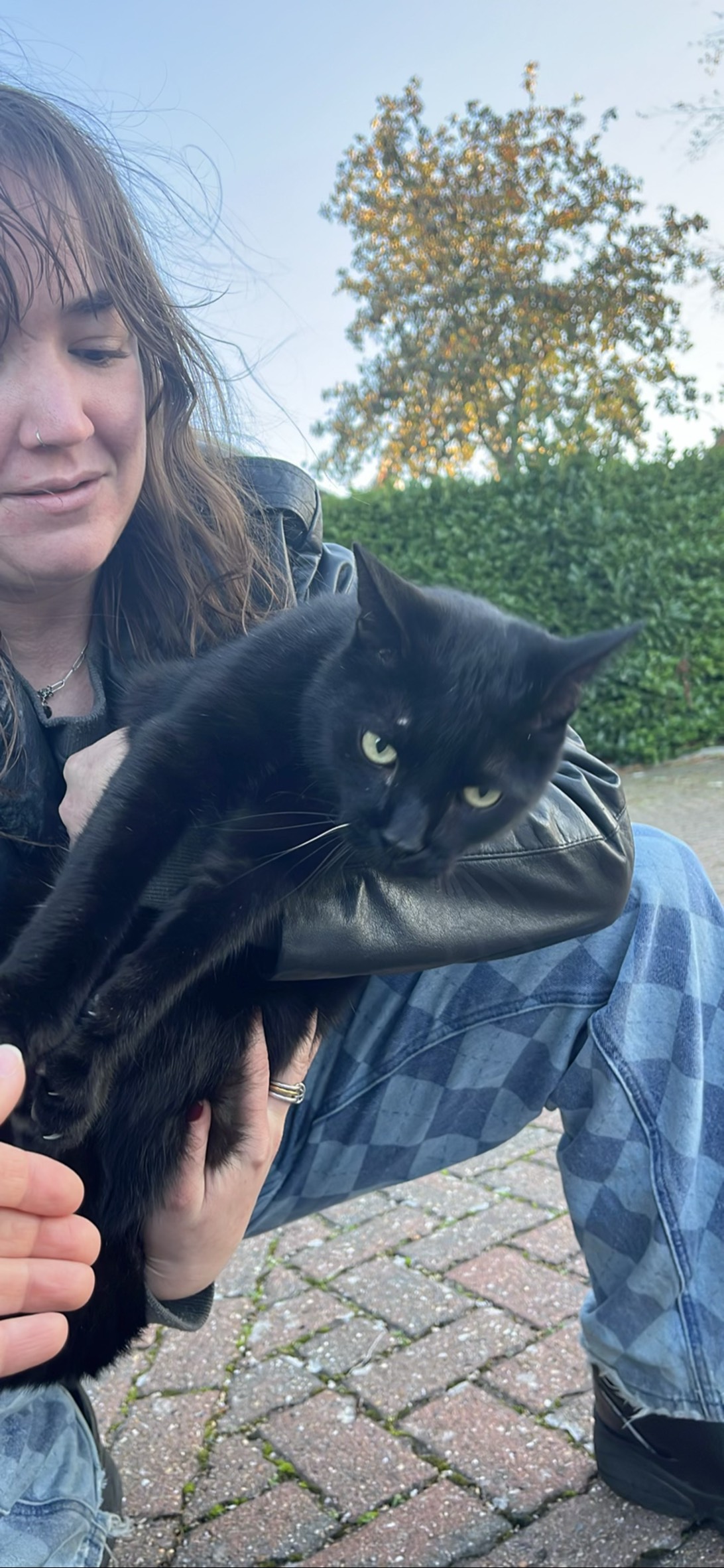 Fat tail, Milton Keynes