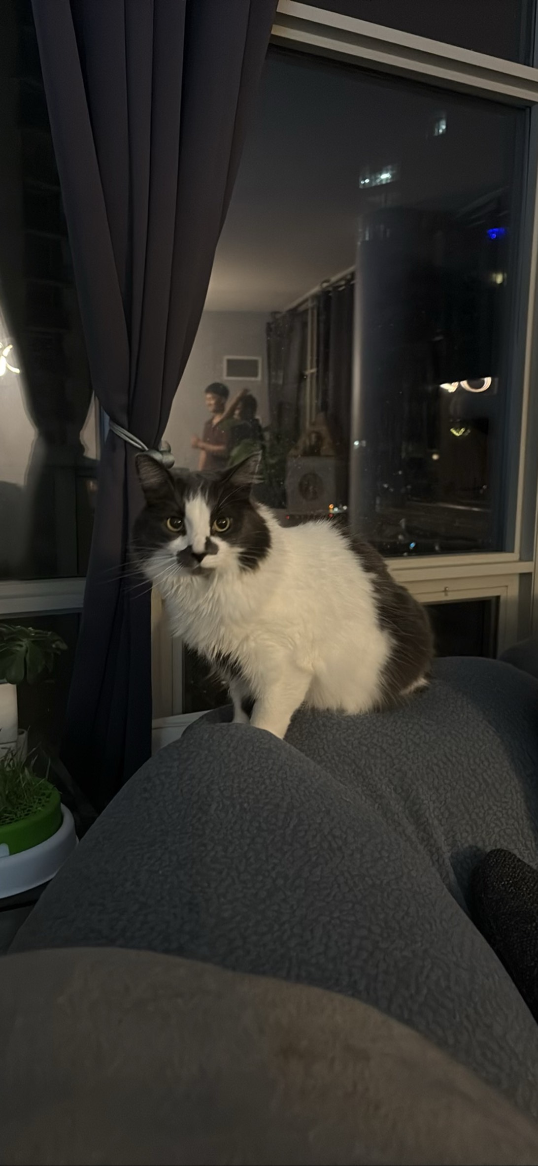 Billie, Toronto
