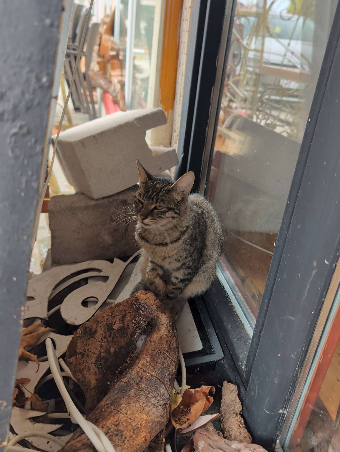 Rufus, Eğirdir