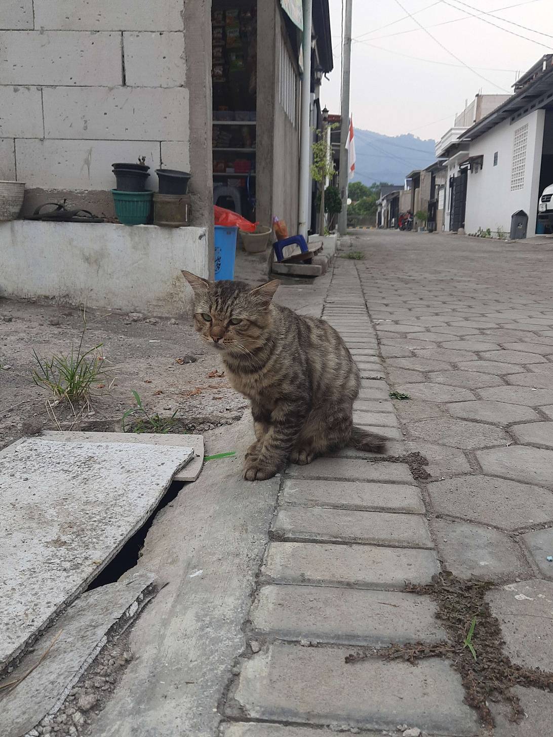 Grumble, Ciranjang-hilir
