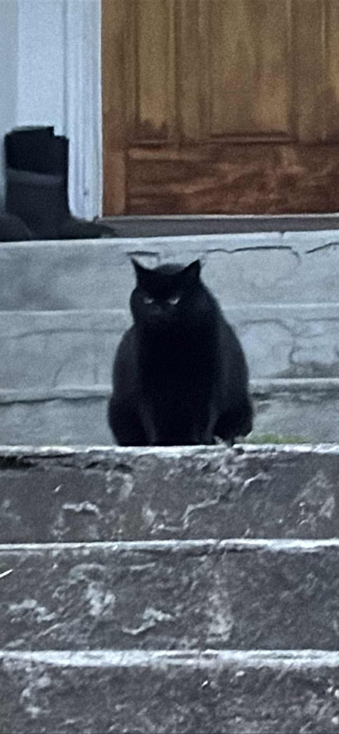 Brutus, Vancouver