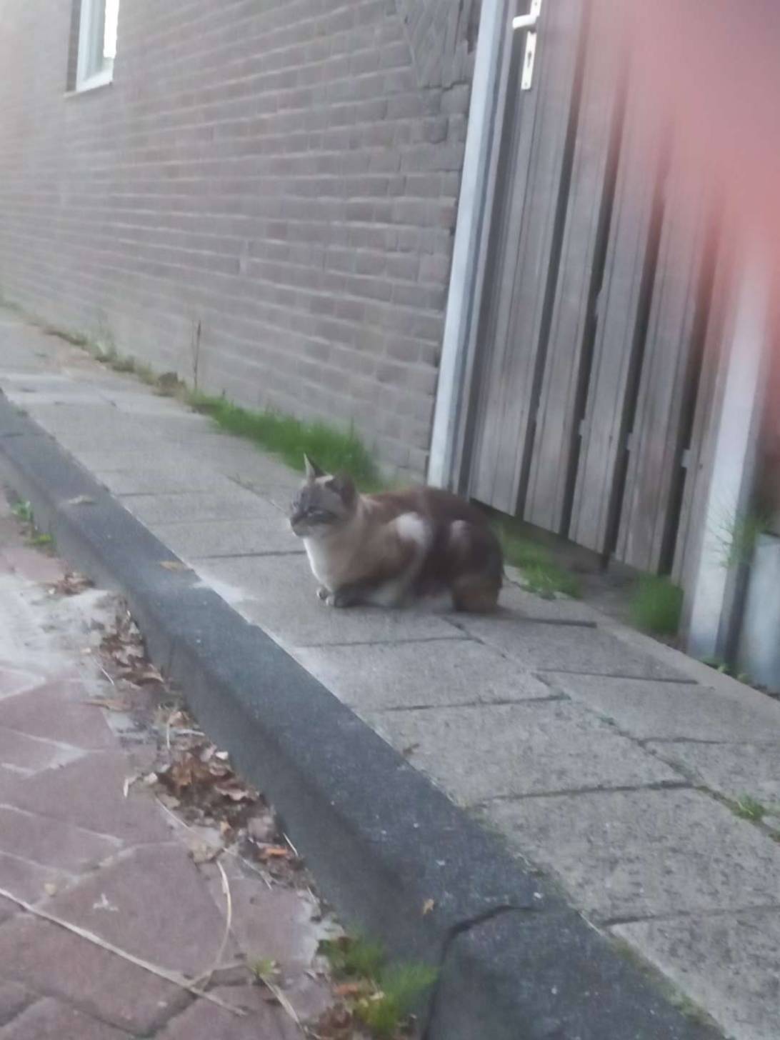 My street, Emmeloord