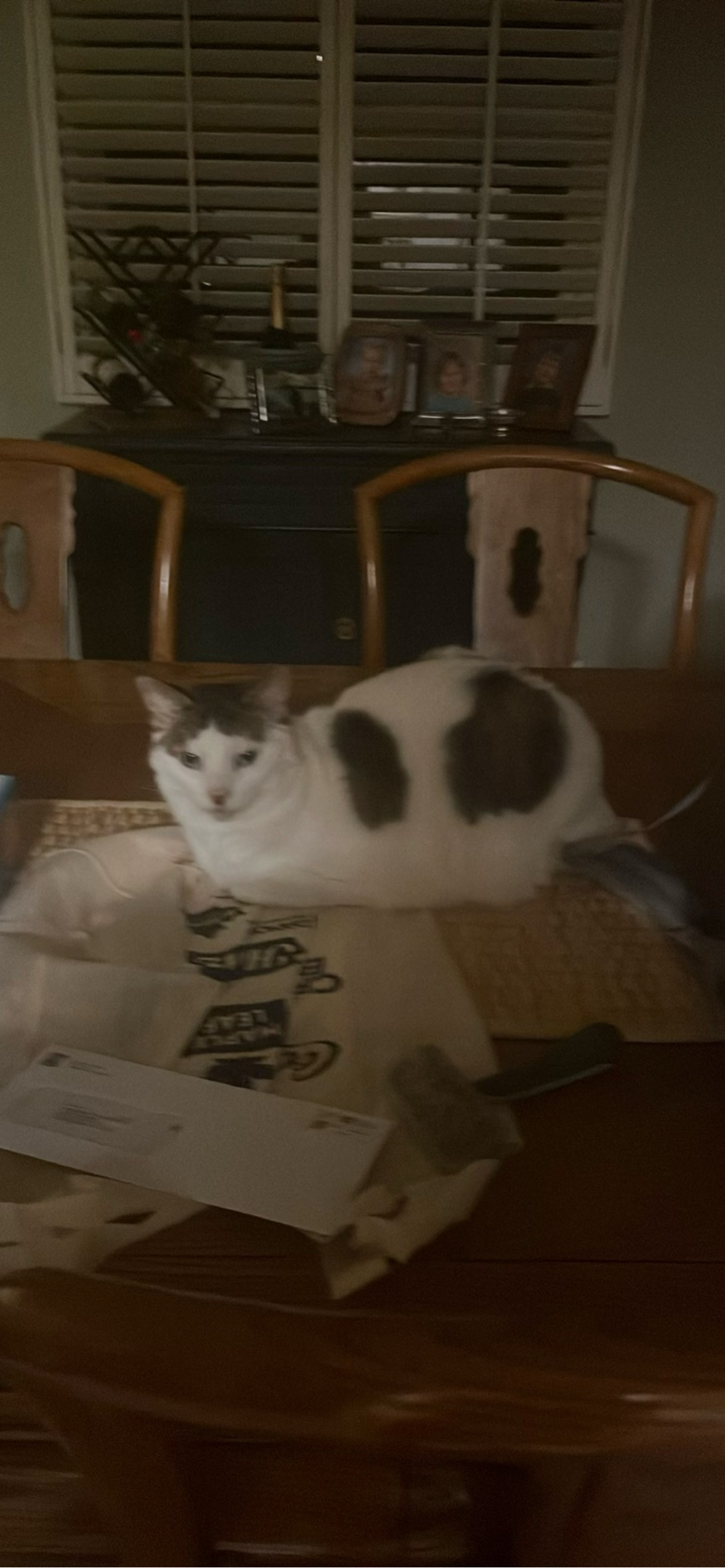 Millie, Mississauga