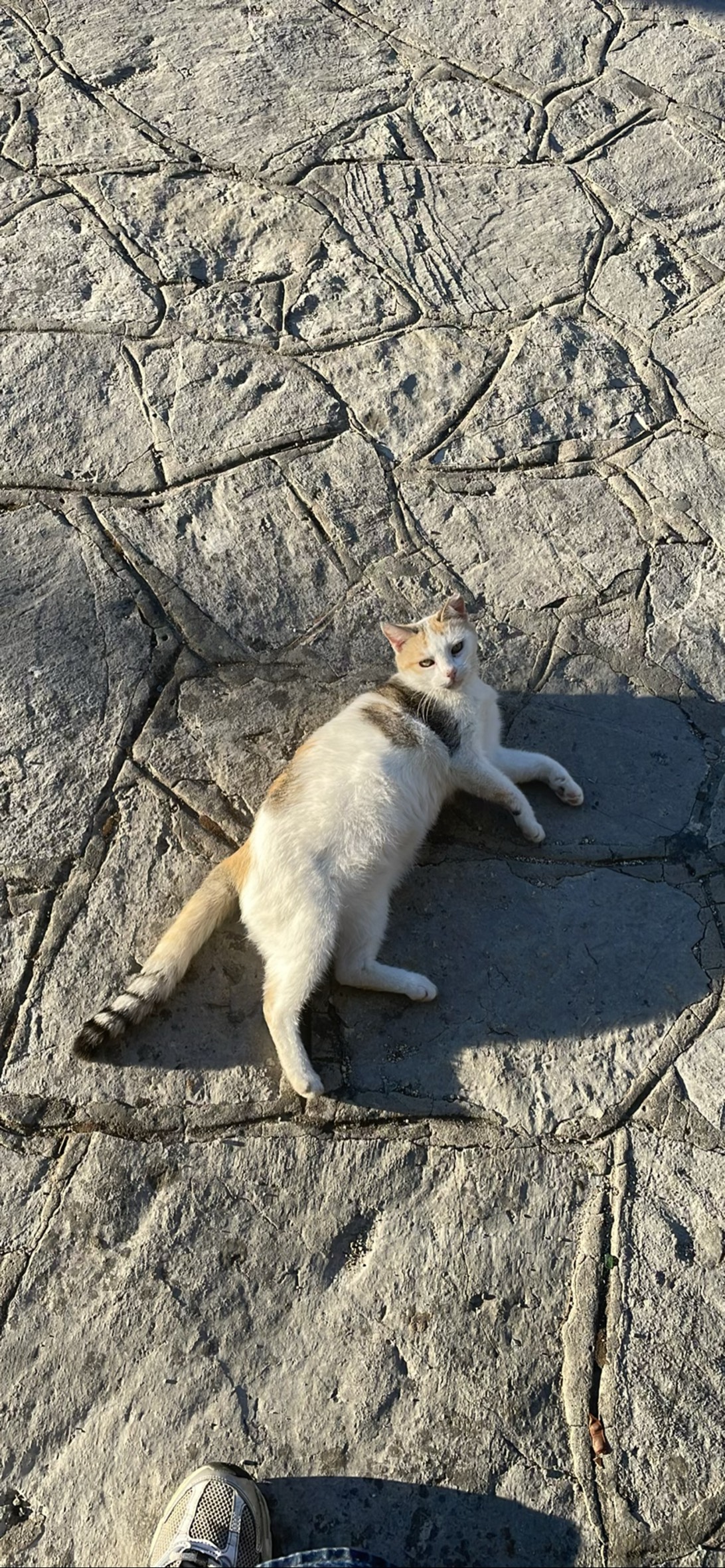 Cosmo, Agios Georgis