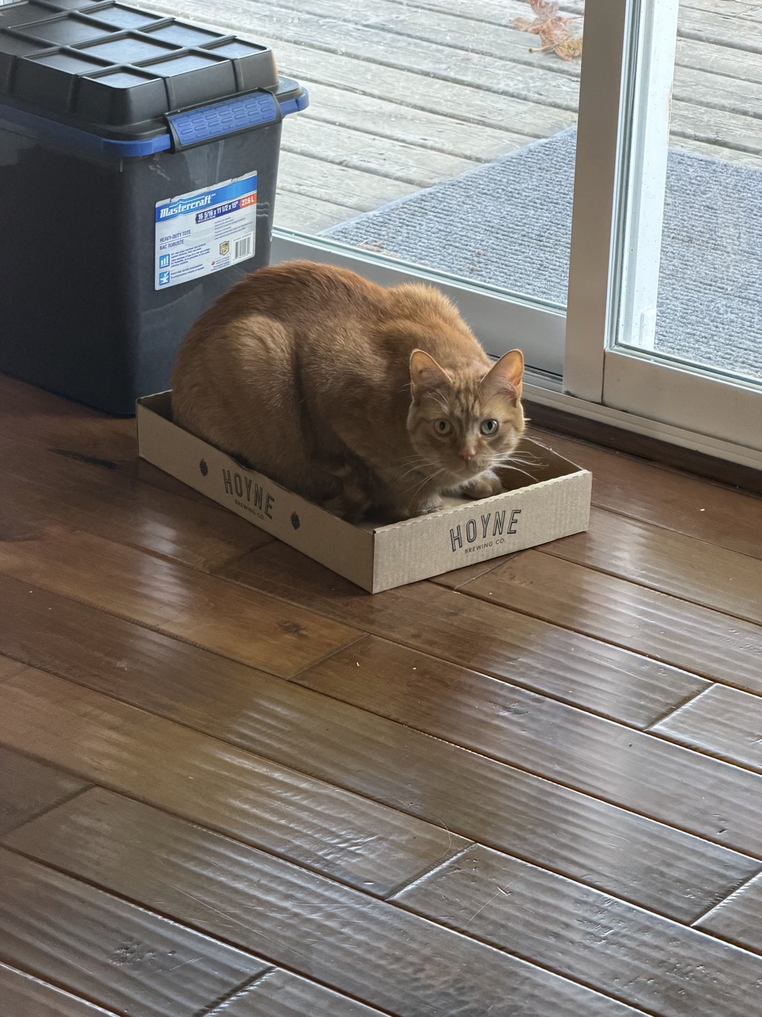 Nacho, Duncan