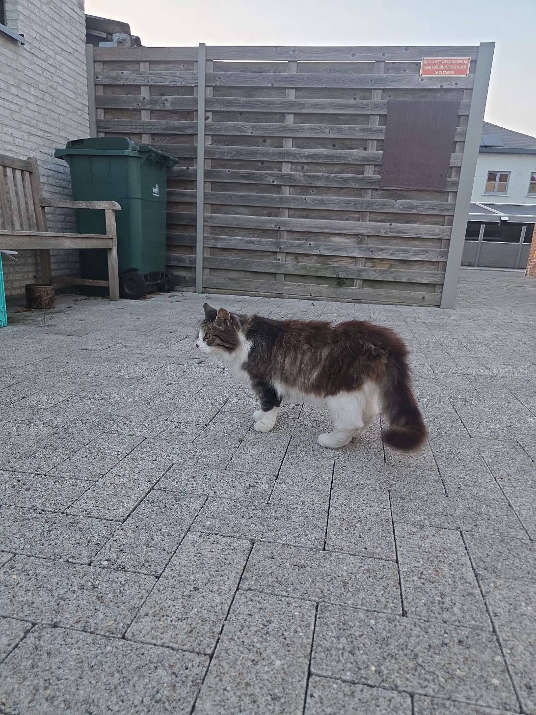 Barnaby, Kortrijk