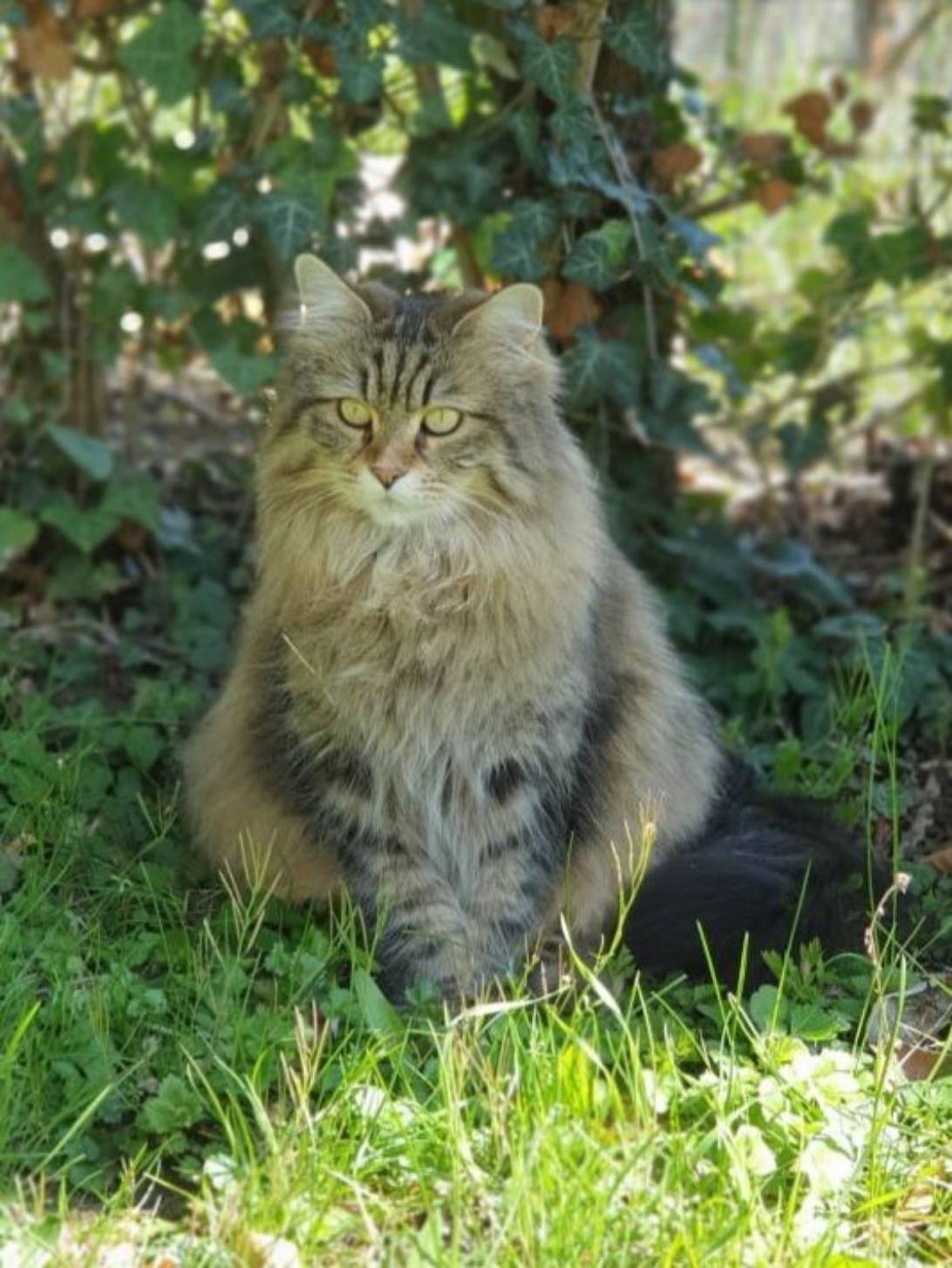 Valentina, Stuttgart