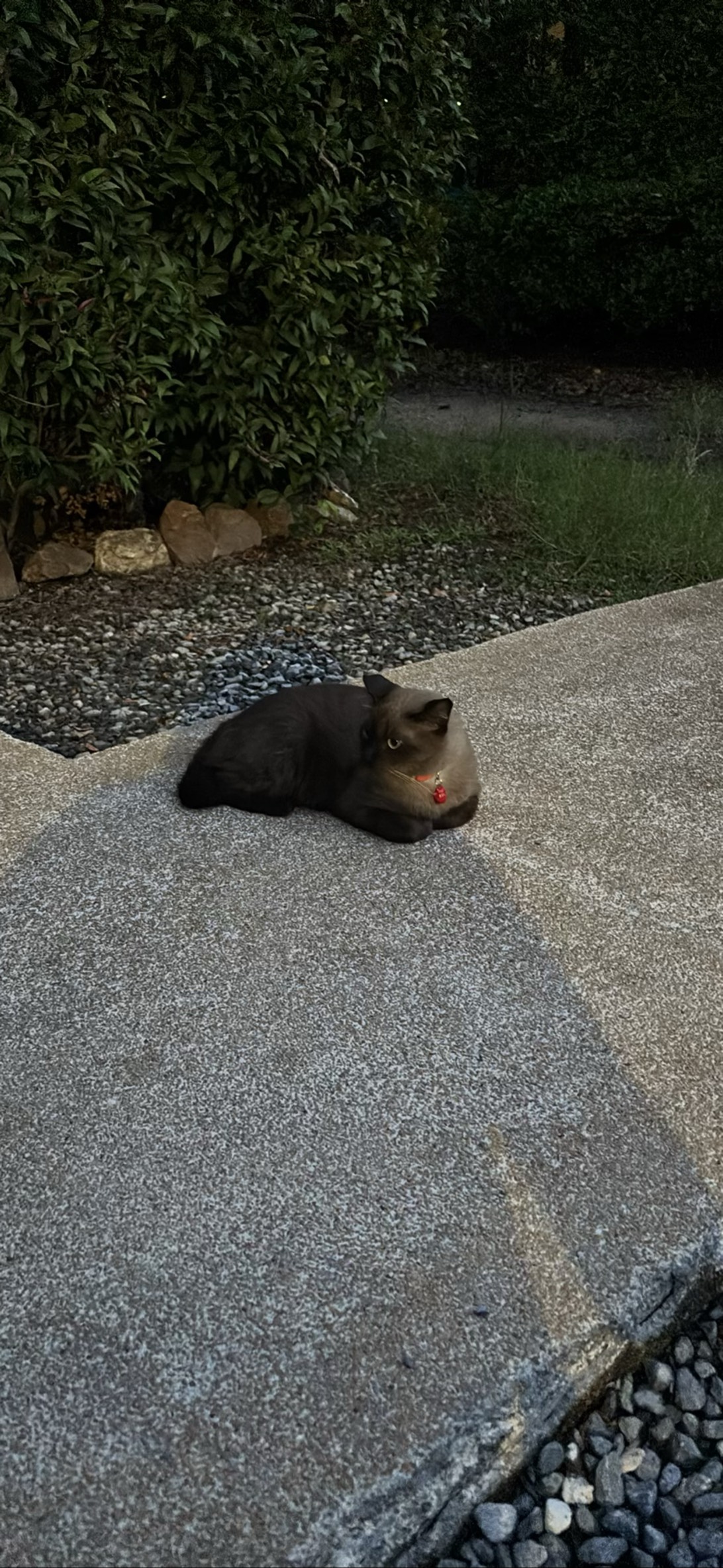Nong Mocha, Ko Samui