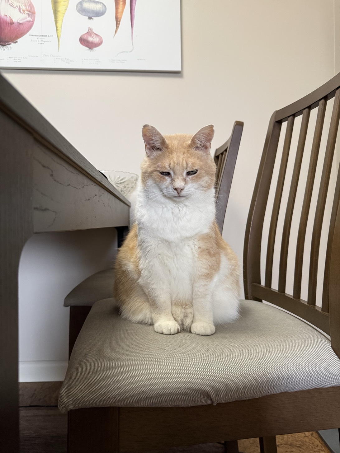 Mr. Bingley, Calgary