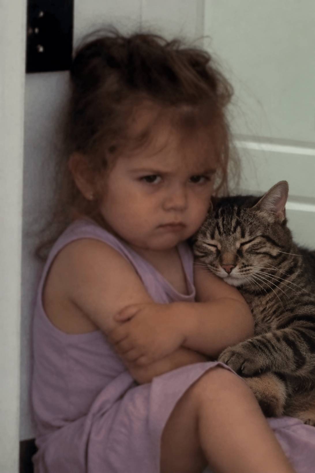 lil'lilychonk, a cat found on Chonk Finder