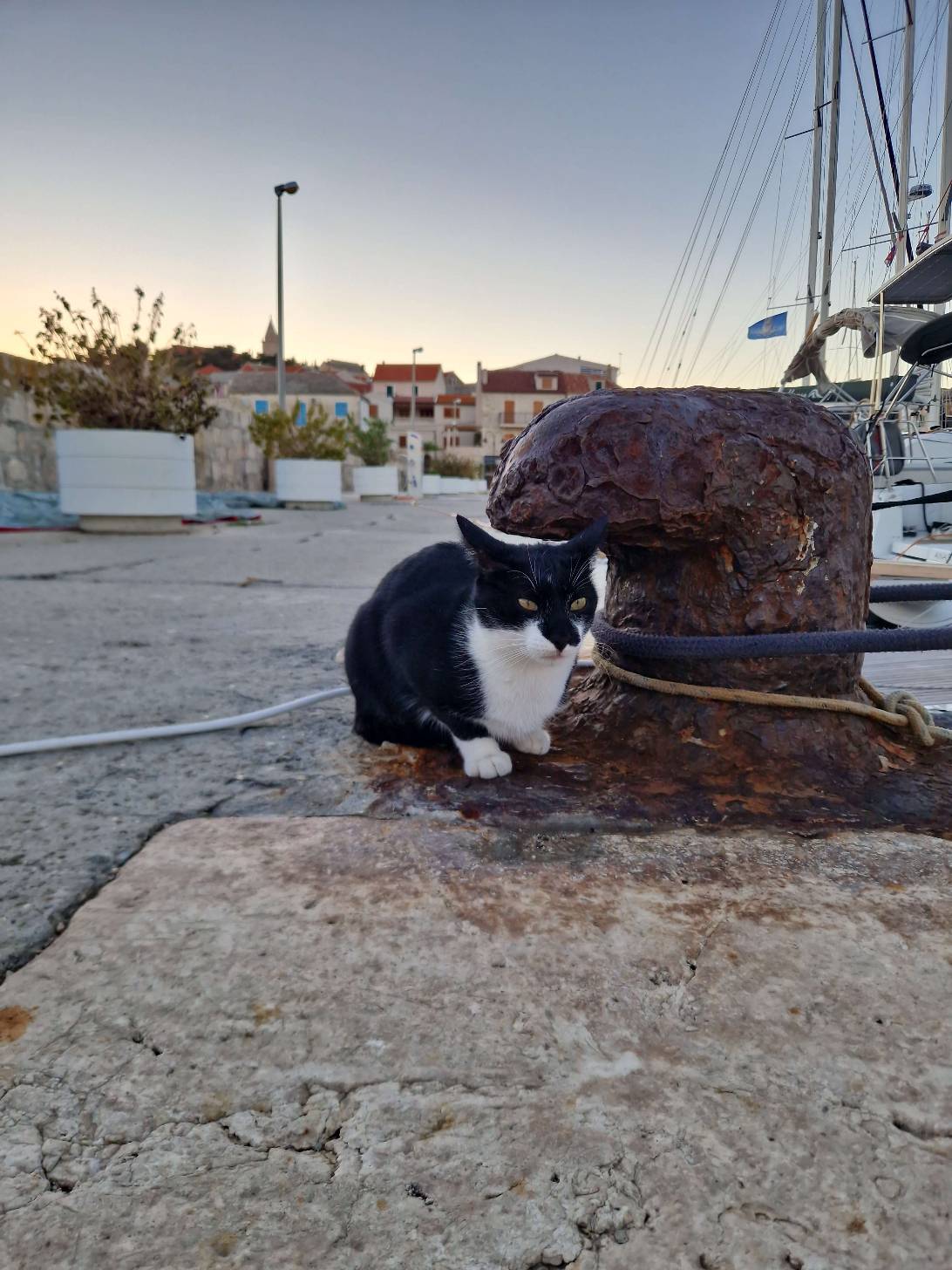 Commodore, Primošten